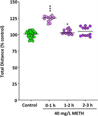 A Zebrafish Model of Neurotoxicity by Binge-Like Methamphetamine Exposure